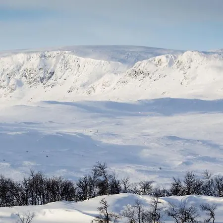 Spacious Detached House Of 209 Sqm In The Heart Of *